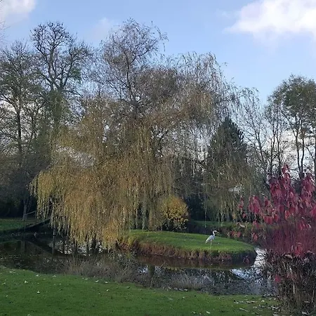 Domaine Du Bois L'abbe Casa vacanze